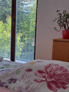 Sanjska Hiša Vojsko