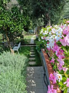 Olive - Cottage moderno tra gli ulivi di Sorrento