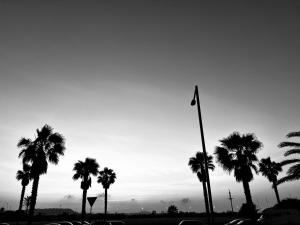 la casetta tra laguna e mare Poetto img59