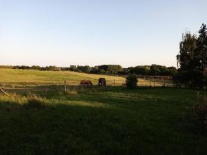 Maisons de vacances Gite de groupe du Coudray : photos des chambres