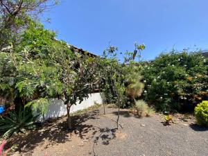 CabanaLanz, Cabañas en Lanzarote