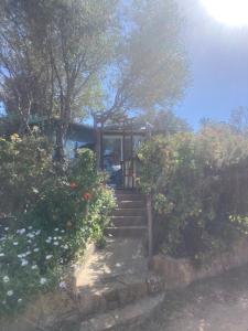 Maisons d'hotes L'oiseau Bleu a CALVI : photos des chambres