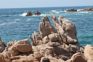 Sardinia Sea Vacation Villa img44
