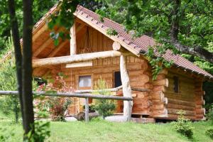 Hut at the forest