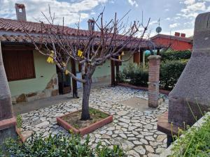 Villetta Mimosa img10