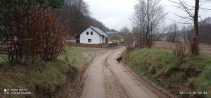 Kaszuby Punkt Klonowo Przywidz sauna klima basen