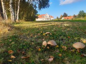 Rezydencja Pod Platanem