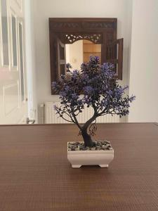 Kisamos Nice Apartment 3