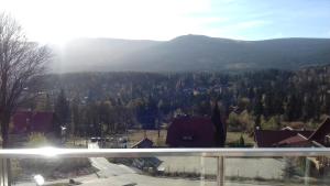 Apartament do wynajęcia z pięknym widokiem , Izerska 8B m 11