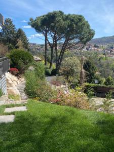i FAGGI ROSSI - RED BEECH TREES