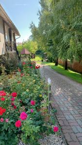 PanOli Apartmanház Nyíregyháza