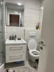 Apartman DVA SRCA