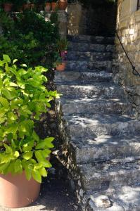 Maisons de vacances Roquecombe : photos des chambres