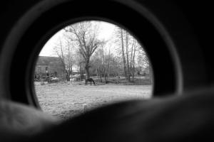 Maisons d'hotes Le Moulin des Forges : photos des chambres