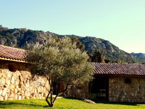 Auberges Domaine Pozzo di Mastri : photos des chambres