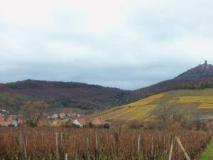 Appartements Apartment Route du Vin Centre Alsace : photos des chambres