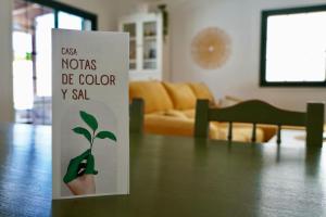 Casa Notas de Color Y Sal