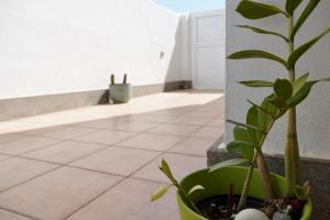 Casa Notas de Color Y Sal