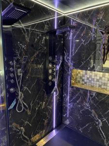 Gîte orconiat LAC du DER