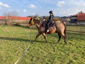 Apartmán U Poštovských