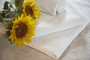 Agriturismo Codula Fuili img90