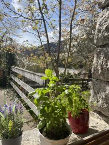 Maisons d'hotes Gite du Manoir des Sens - Foret de Bergheim : photos des chambres