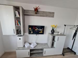 Garsoniera - moderna - Timișoara