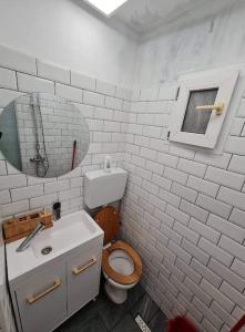 Garsoniera - moderna - Timișoara