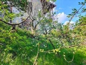 Villa Rosa Perla - Lake Como - Schignano - Scudellate