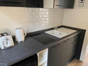 LEynard 1 - T2 le long des quais de lIsère