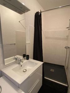 Appartements L'Eynard 1 - T2 le long des quais de l'Isere : photos des chambres