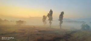 Green Meadows Farm Stay