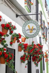Vitium Córdoba