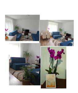 Apartman Mihajlović