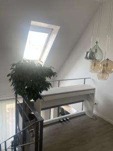 Executive Maisonette Penthouse Loft, Rooftop Pool, Central Hannover and Direct Messe Connection
