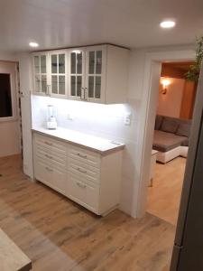 Apartment Chalet Im sunnigen Usblick