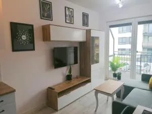 Apartament Pruszcz Gdański 1 - Bystra