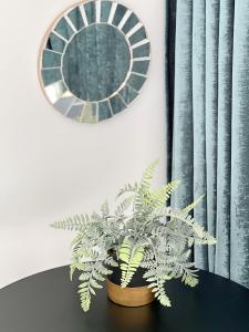 Town Spot - Premium Studio - Sanador Victoriei