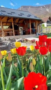 Vikendica Obradović