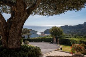 Alta House Apartments Sa Blava