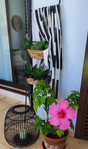 La Alcaidesa Valerie & Bruno