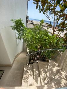 Apartments Lucija 