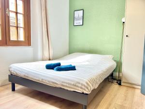 Le Blossac, à 300m du centre ville - WIFI