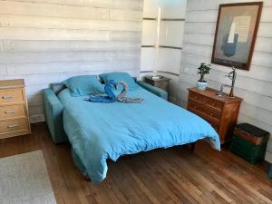 Appartements Studio lumineux avec petite terrasse : photos des chambres