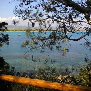 Domos Le Due Tuie img93