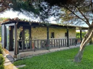 Azenha São Rafael - Trofa