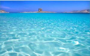 B&B Al Centro - Ossi img20