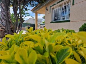 Riumar "Angeles", 210m to beach, private pool, On-Site-Service, dog beach