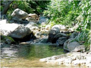 Appartements Gites en Cevennes 