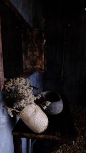 1941M Homestay Tà Xùa